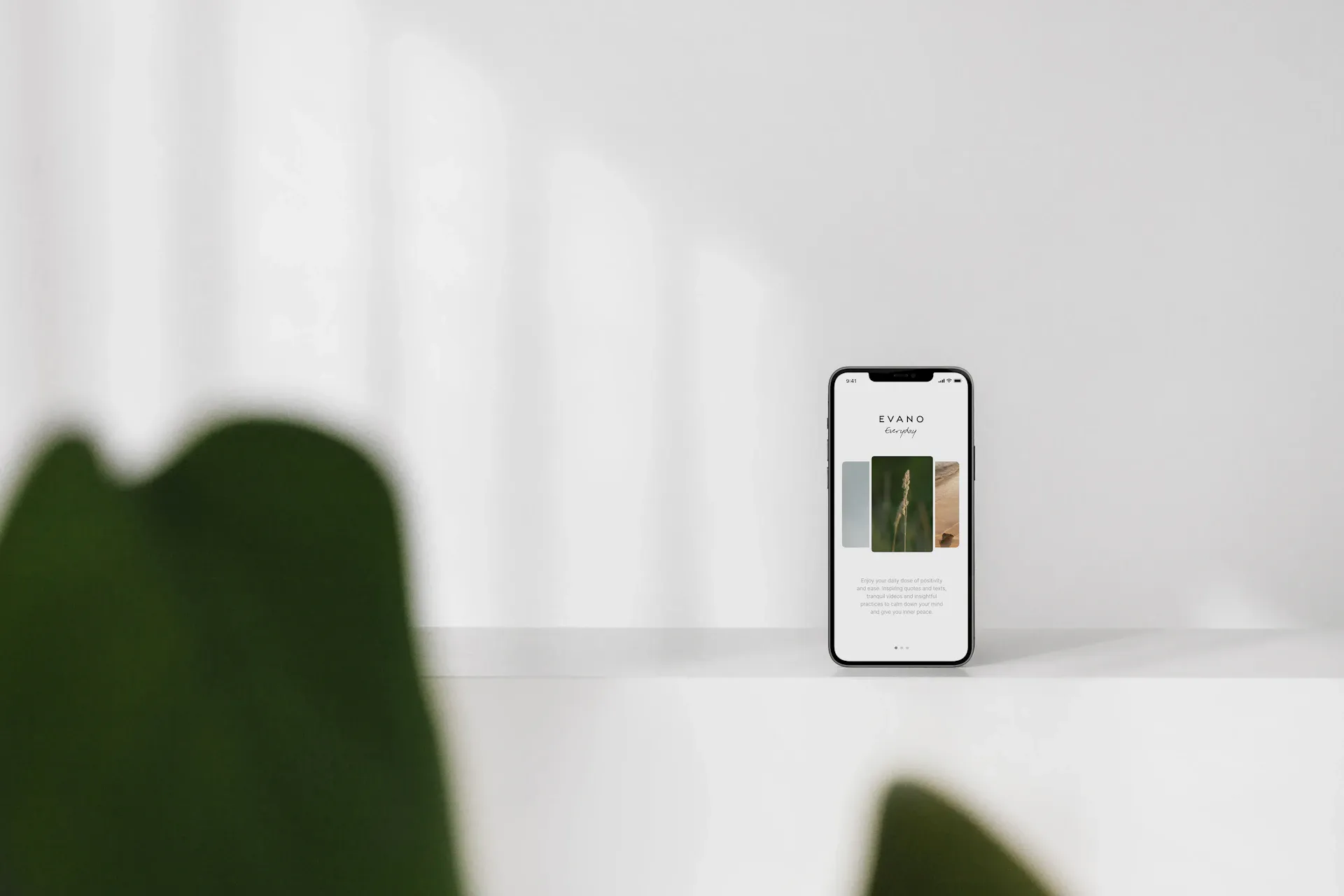 Case Study Three — Mastering Digital Minimalism
