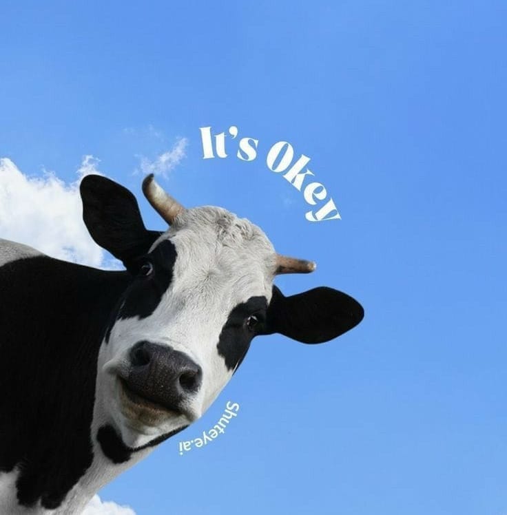 Its ok