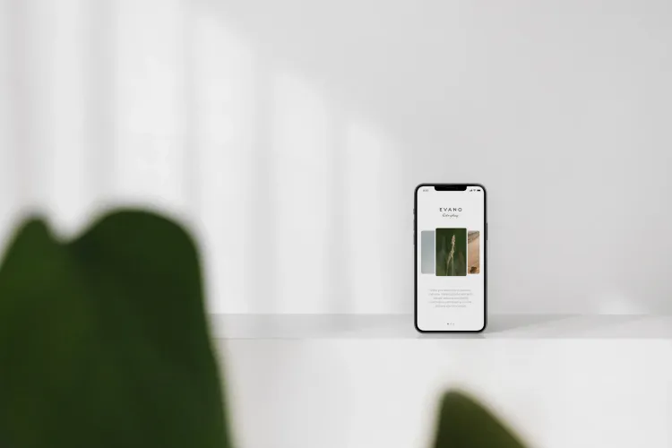 Case Study Three — Mastering Digital Minimalism